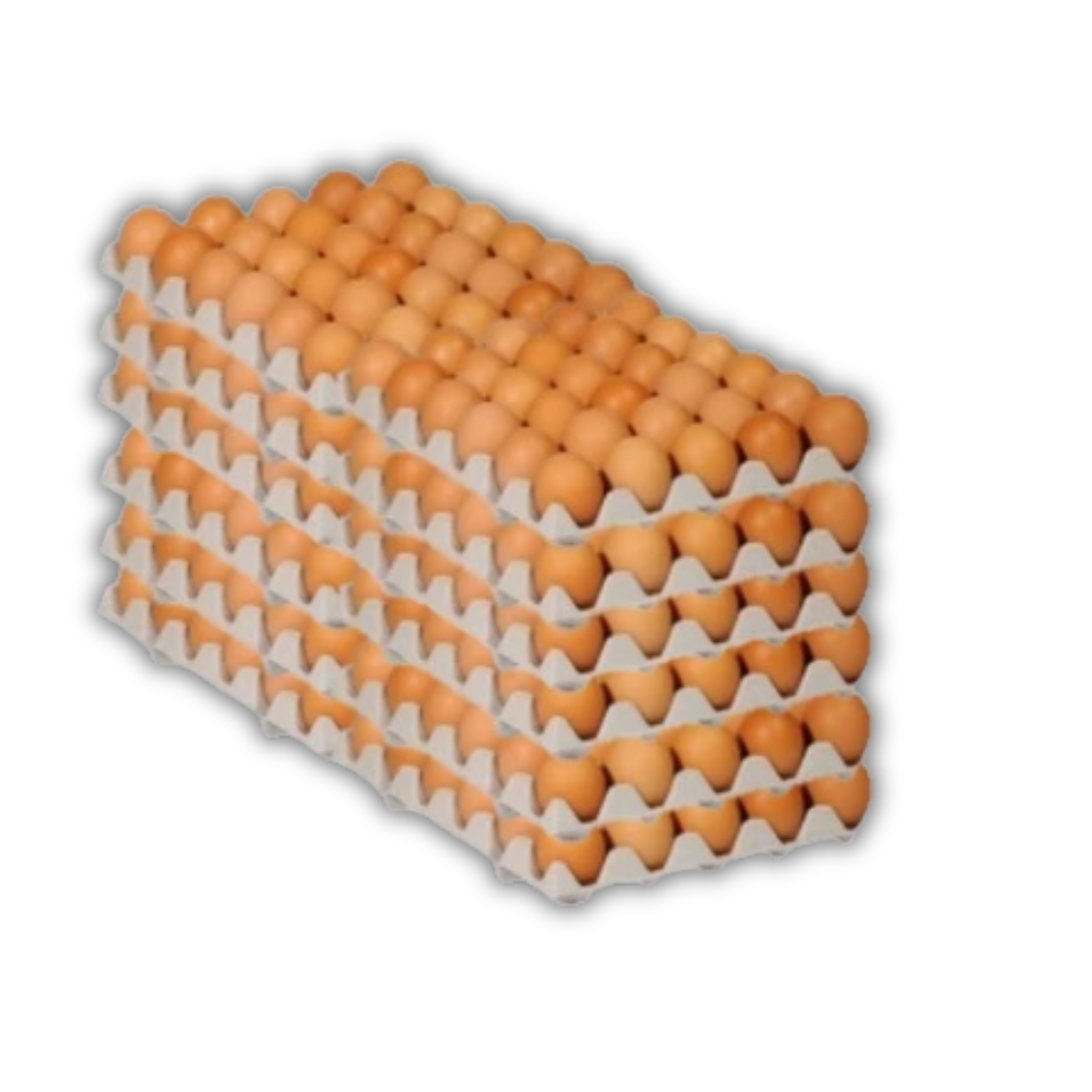 360 OEUFS VRAC MOYENS