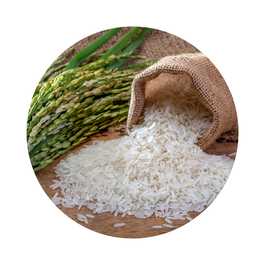 Riz