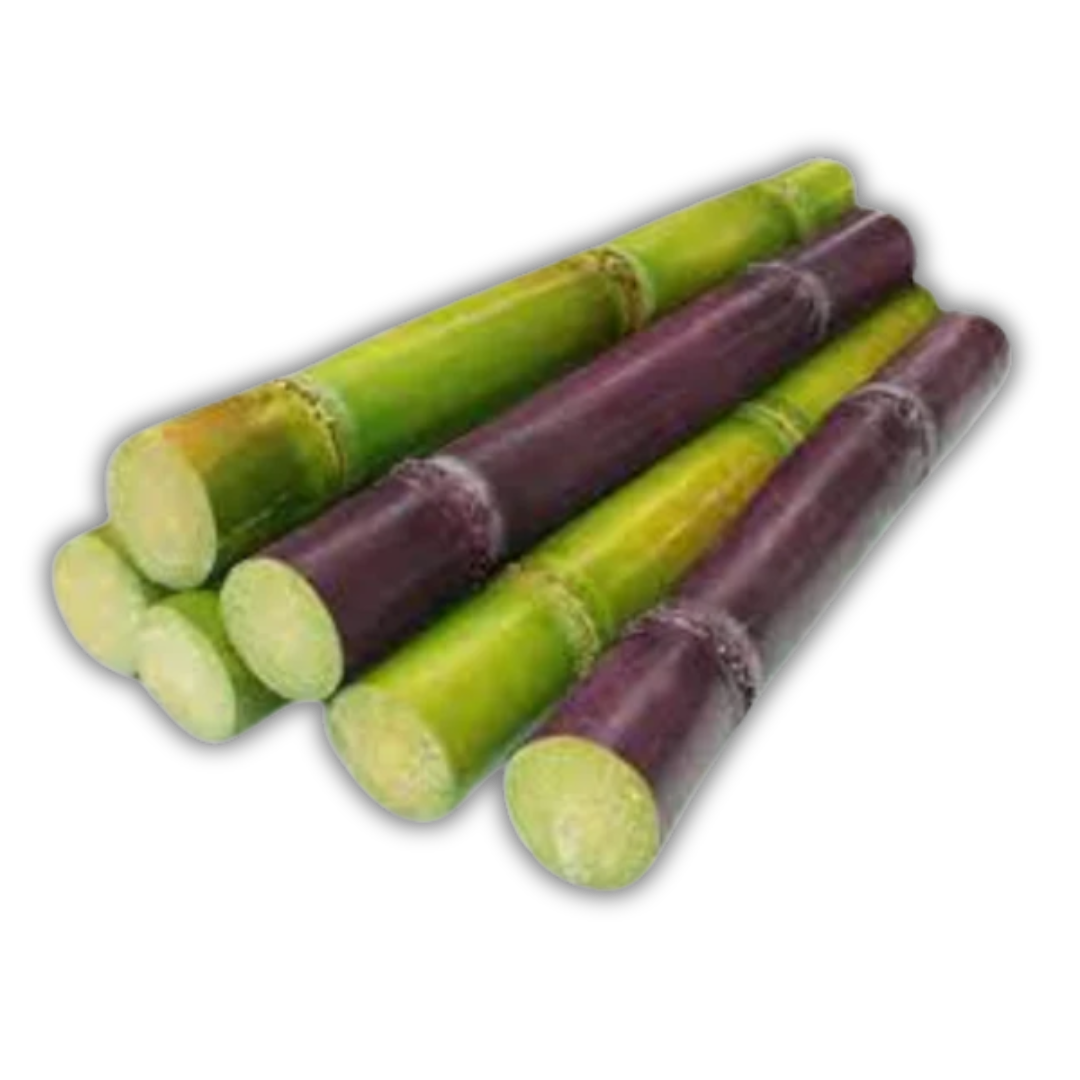 SUGAR CANNE SL KG