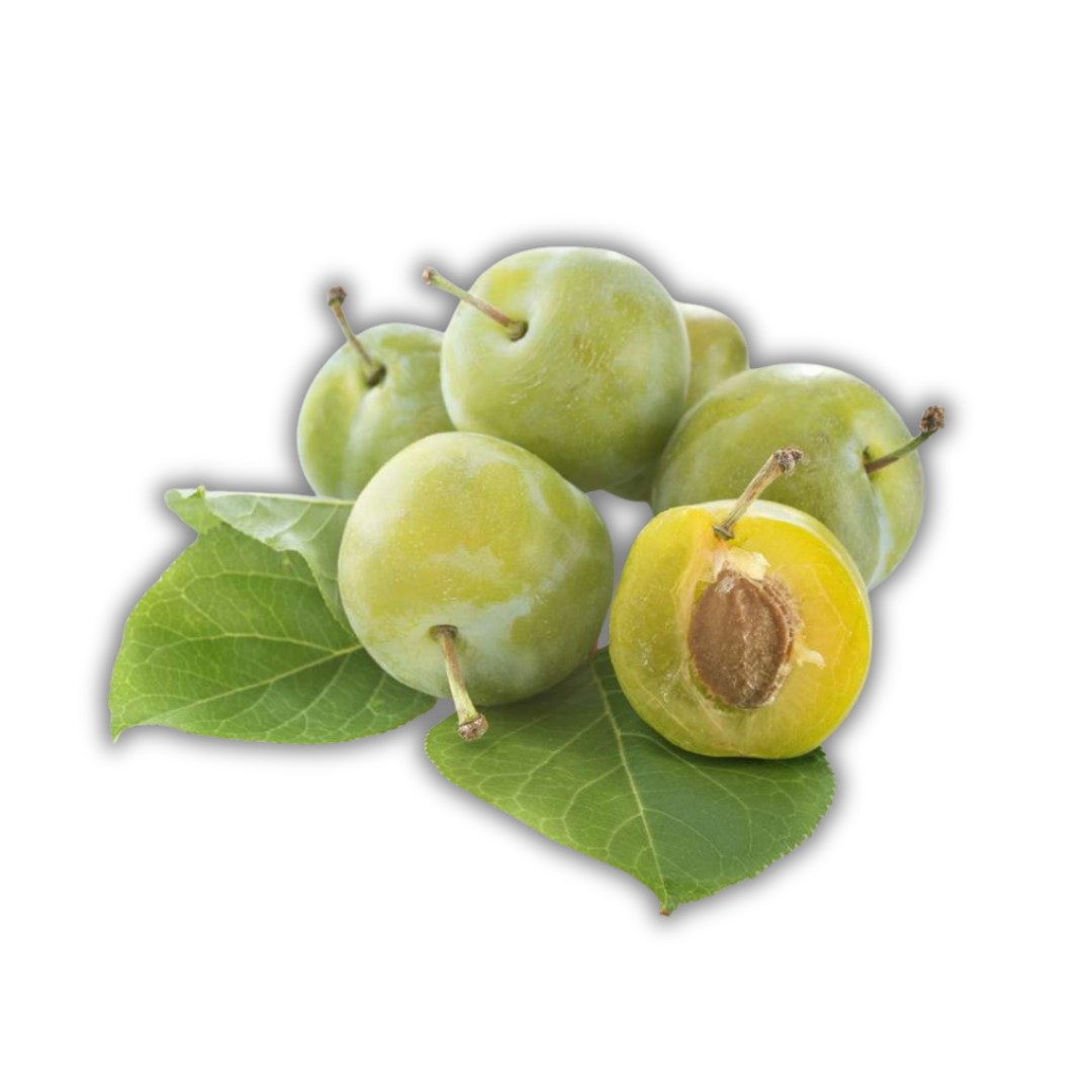 PRUNE VERTE KG